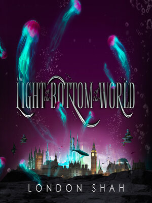 cover image of The Light at the Bottom of the World